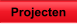 Projecten